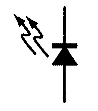 選項 B