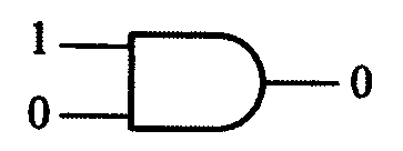 選項 B