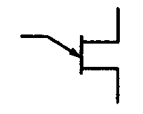 選項 A