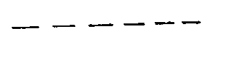 選項 C