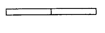 選項 B