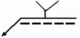 選項 B