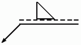 選項 C
