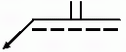 選項 B