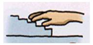選項 B