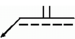 選項 B