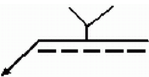 選項 B